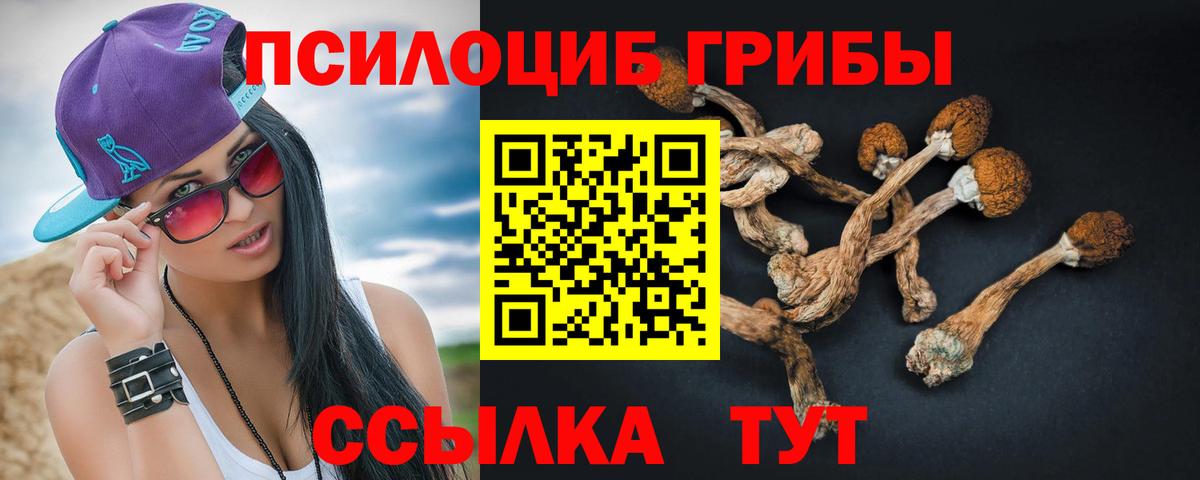 Псилоцибиновые грибы ЛСД Рубцовск